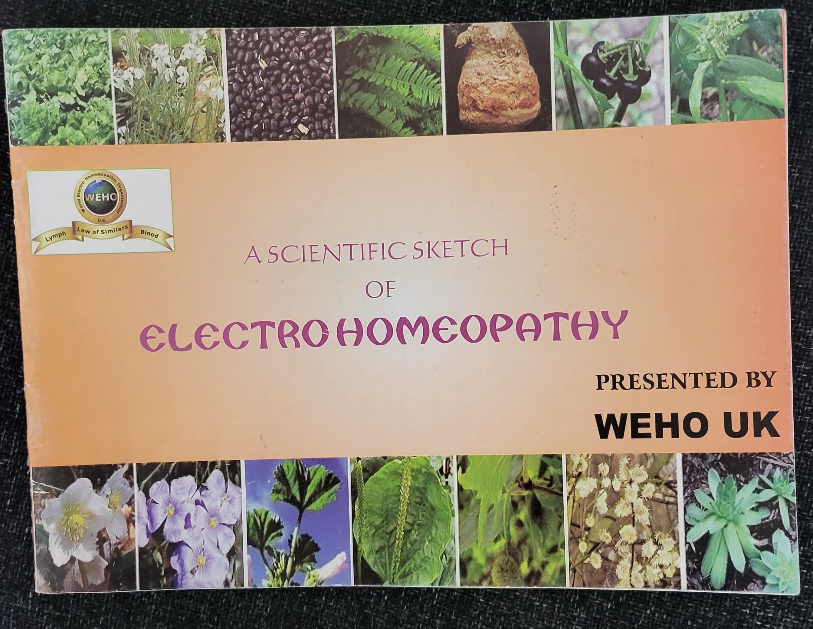 Scientific sketch of EH