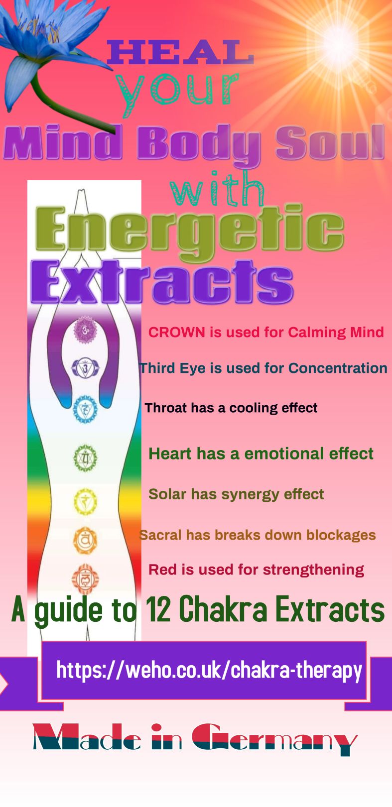 EH CHAKRA POSTER