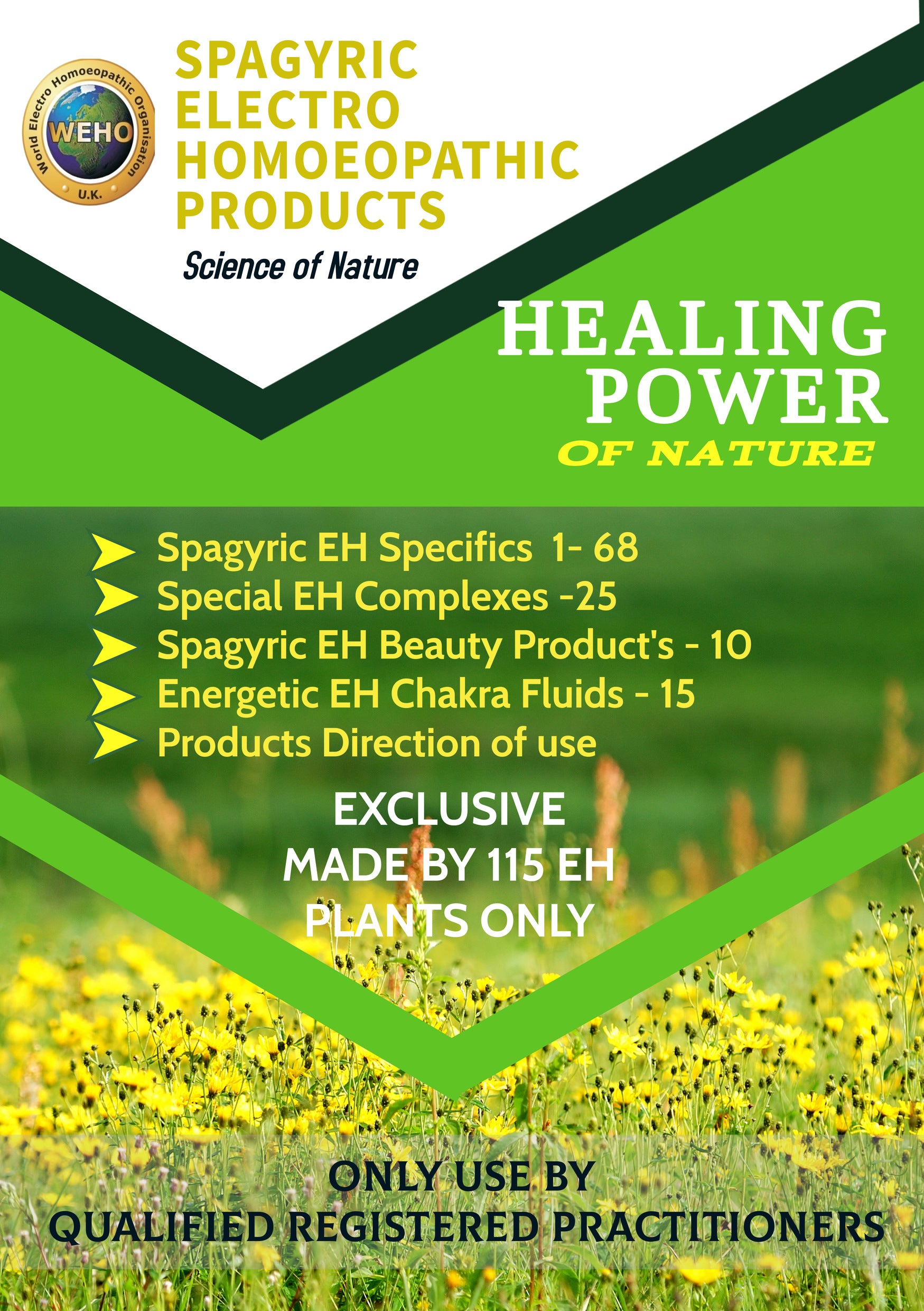 Spagyric Healing (2nd edition)